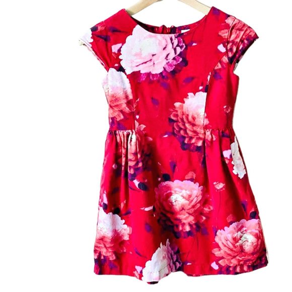Gap Red Peony Print Dress